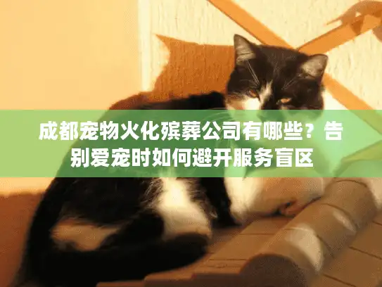 成都宠物火化殡葬公司有哪些？告别爱宠时如何避开服务盲区