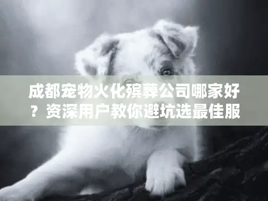 成都宠物火化殡葬公司哪家好？资深用户教你避坑选最佳服务