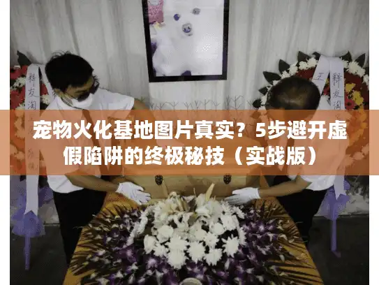 宠物火化基地图片真实？5步避开虚假陷阱的终极秘技（实战版）