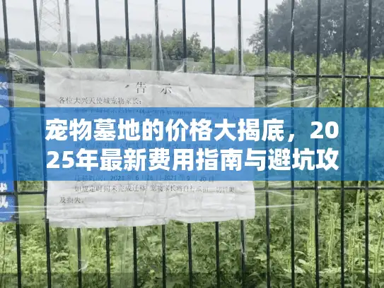 宠物墓地的价格大揭底，2025年最新费用指南与避坑攻略
