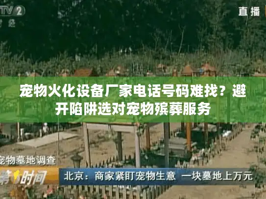 宠物火化设备厂家电话号码难找？避开陷阱选对宠物殡葬服务