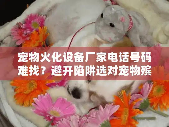 宠物火化设备厂家电话号码难找？避开陷阱选对宠物殡葬服务