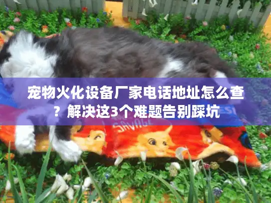 宠物火化设备厂家电话地址怎么查？解决这3个难题告别踩坑