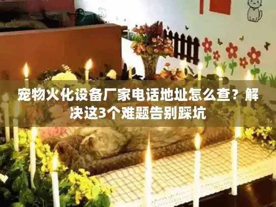 宠物火化设备厂家电话地址怎么查？解决这3个难题告别踩坑