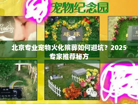 北京专业宠物火化殡葬如何避坑？2025专家推荐秘方