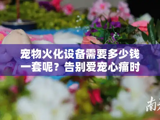 宠物火化设备需要多少钱一套呢？告别爱宠心痛时省钱避坑攻略