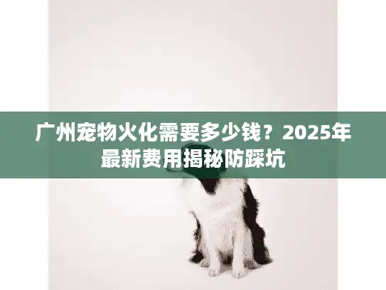 广州宠物火化需要多少钱？2025年最新费用揭秘防踩坑
