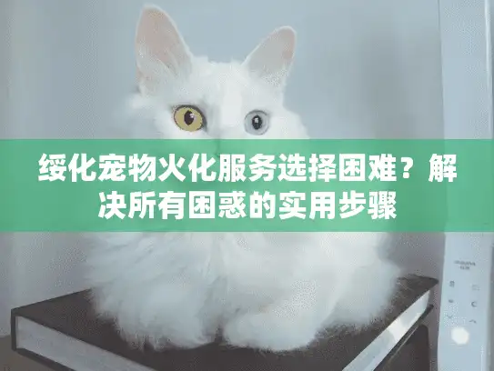 绥化宠物火化服务选择困难？解决所有困惑的实用步骤