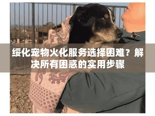 绥化宠物火化服务选择困难？解决所有困惑的实用步骤