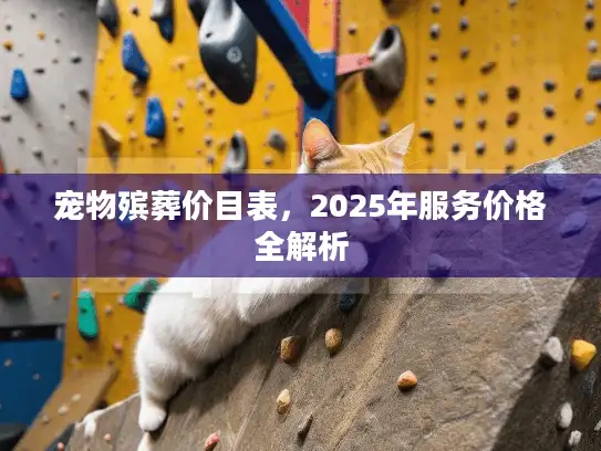 宠物殡葬价目表，2025年服务价格全解析