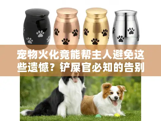 宠物火化竟能帮主人避免这些遗憾？铲屎官必知的告别真相