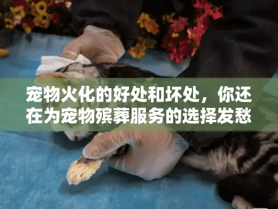 宠物火化的好处和坏处，你还在为宠物殡葬服务的选择发愁吗？