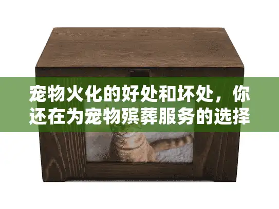 宠物火化的好处和坏处，你还在为宠物殡葬服务的选择发愁吗？