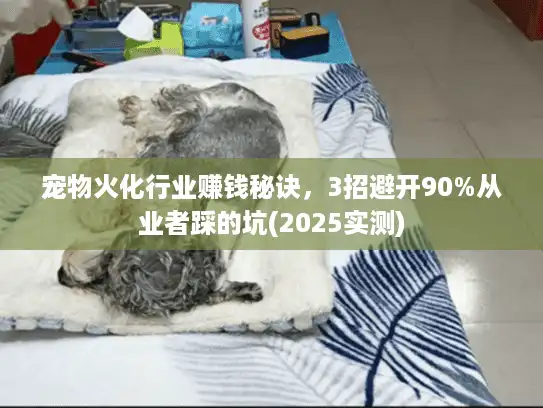 宠物火化行业赚钱秘诀，3招避开90%从业者踩的坑(2025实测)