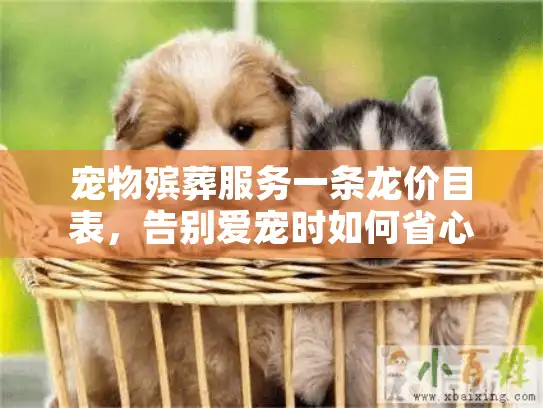 宠物殡葬服务一条龙价目表，告别爱宠时如何省心省力？
