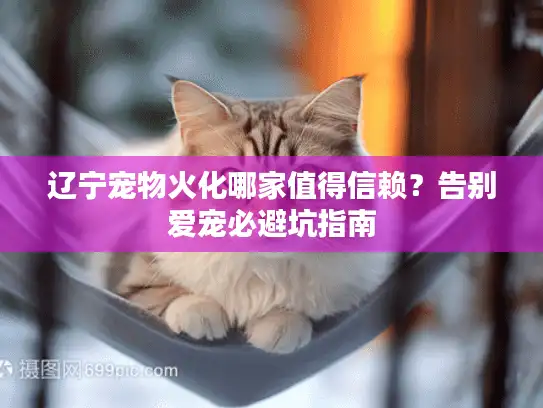辽宁宠物火化哪家值得信赖？告别爱宠必避坑指南
