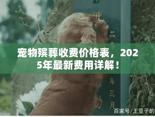 宠物殡葬收费价格表，2025年最新费用详解！