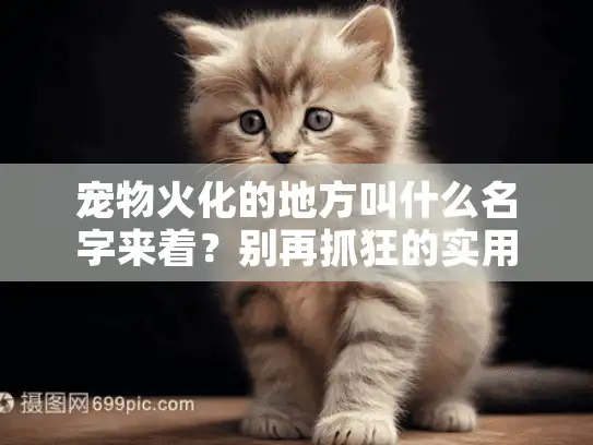 宠物火化的地方叫什么名字来着？别再抓狂的实用搜救方案