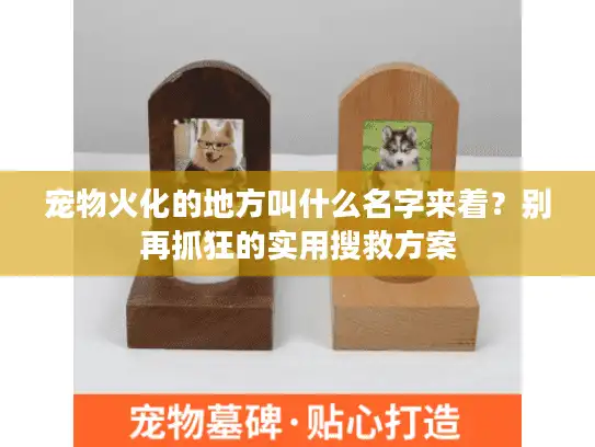 宠物火化的地方叫什么名字来着？别再抓狂的实用搜救方案