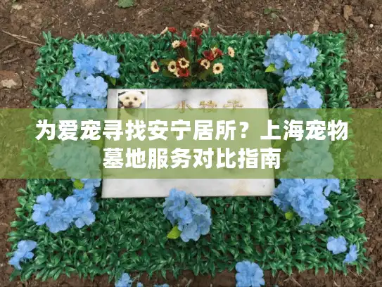 为爱宠寻找安宁居所？上海宠物墓地服务对比指南