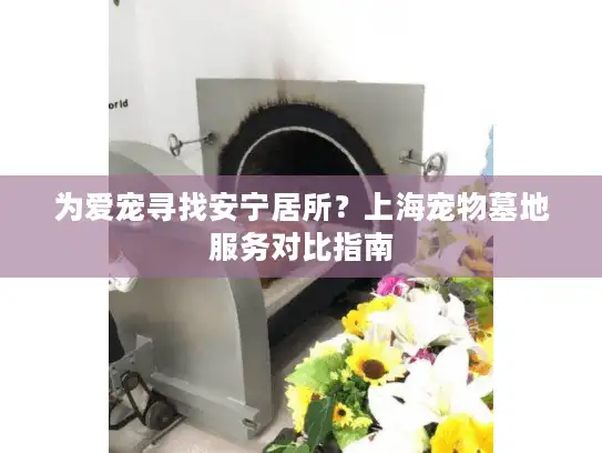 为爱宠寻找安宁居所？上海宠物墓地服务对比指南