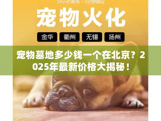 宠物墓地多少钱一个在北京？2025年最新价格大揭秘！