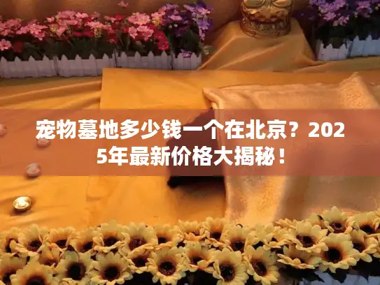 宠物墓地多少钱一个在北京？2025年最新价格大揭秘！
