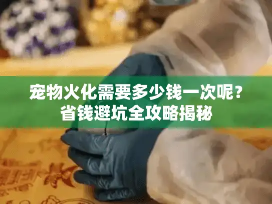 宠物火化需要多少钱一次呢？省钱避坑全攻略揭秘