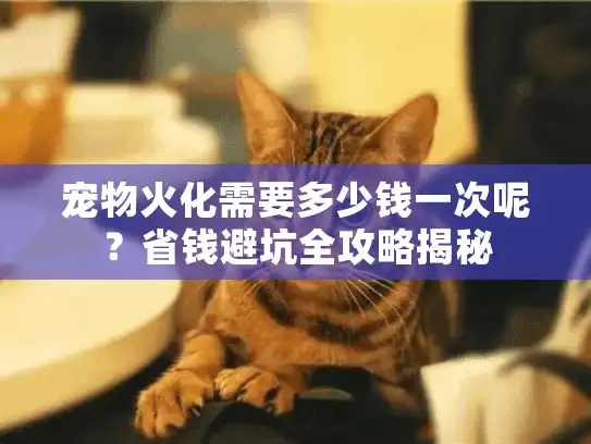宠物火化需要多少钱一次呢？省钱避坑全攻略揭秘
