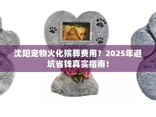 沈阳宠物火化殡葬费用？2025年避坑省钱真实指南！