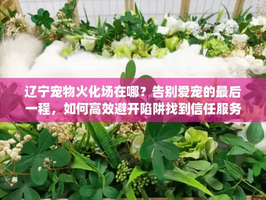 辽宁宠物火化场在哪？告别爱宠的最后一程，如何高效避开陷阱找到信任服务