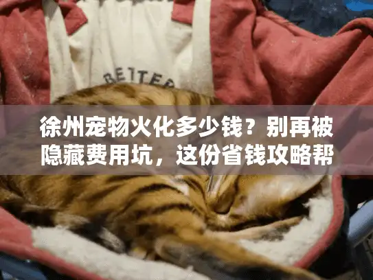 徐州宠物火化多少钱？别再被隐藏费用坑，这份省钱攻略帮你安心送别！