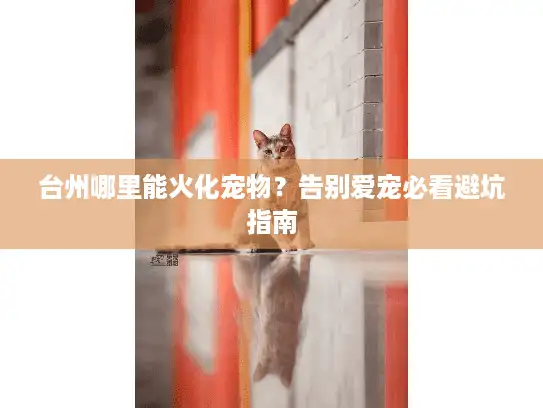 台州哪里能火化宠物？告别爱宠必看避坑指南