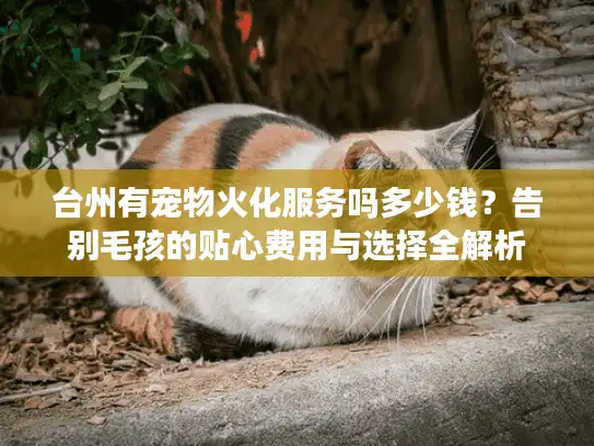 台州有宠物火化服务吗多少钱？告别毛孩的贴心费用与选择全解析