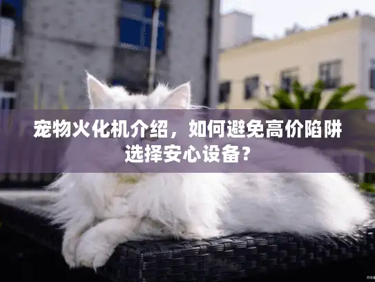 宠物火化机介绍，如何避免高价陷阱选择安心设备？