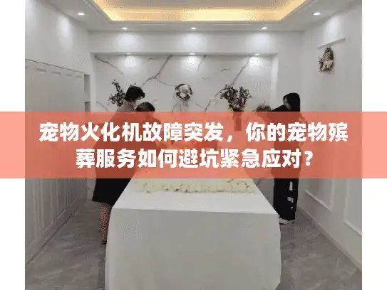 宠物火化机故障突发，你的宠物殡葬服务如何避坑紧急应对？