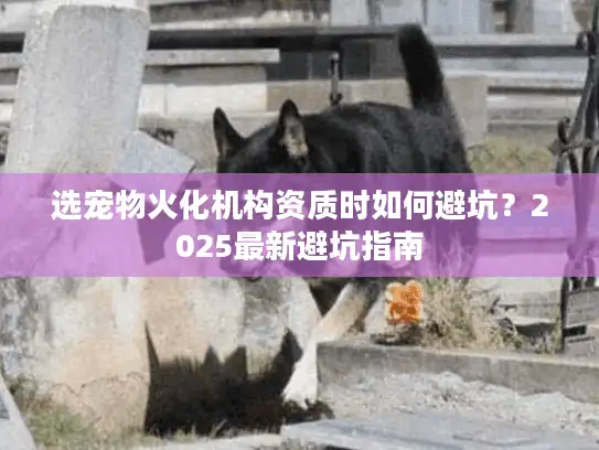 选宠物火化机构资质时如何避坑？2025最新避坑指南