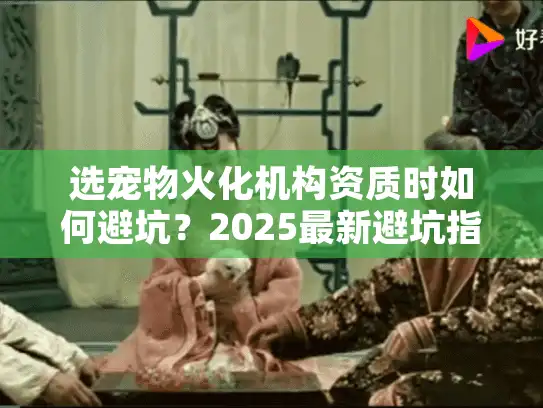 选宠物火化机构资质时如何避坑？2025最新避坑指南