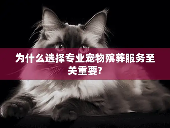 为什么选择专业宠物殡葬服务至关重要?