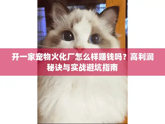 开一家宠物火化厂怎么样赚钱吗？高利润秘诀与实战避坑指南