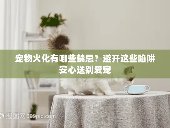 宠物火化有哪些禁忌？避开这些陷阱安心送别爱宠