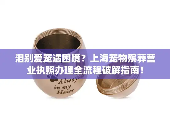 泪别爱宠遇困境？上海宠物殡葬营业执照办理全流程破解指南！