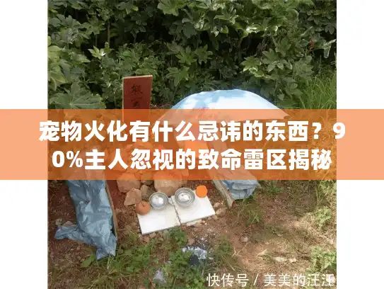 宠物火化有什么忌讳的东西？90%主人忽视的致命雷区揭秘