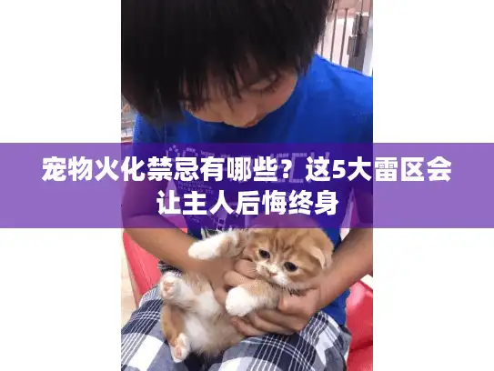 宠物火化禁忌有哪些？这5大雷区会让主人后悔终身
