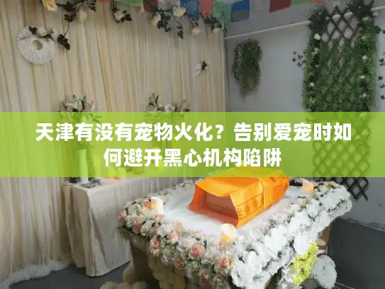 天津有没有宠物火化？告别爱宠时如何避开黑心机构陷阱