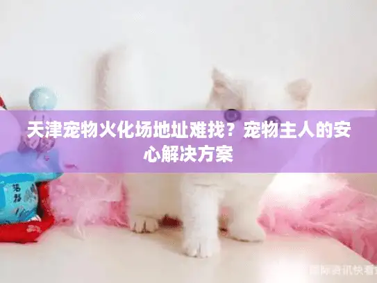 天津宠物火化场地址难找？宠物主人的安心解决方案