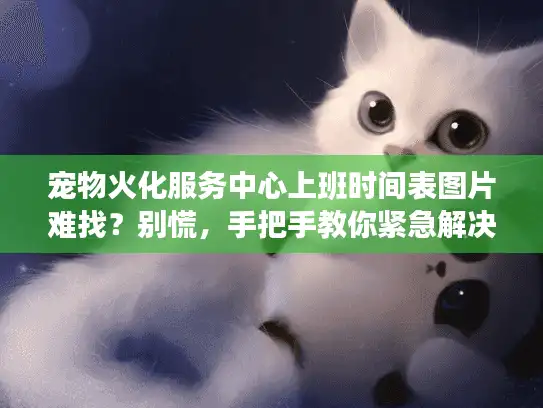 宠物火化服务中心上班时间表图片难找？别慌，手把手教你紧急解决！