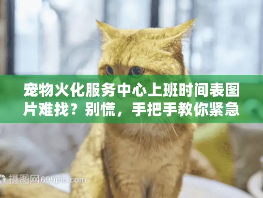 宠物火化服务中心上班时间表图片难找？别慌，手把手教你紧急解决！