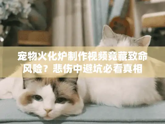 宠物火化炉制作视频竟藏致命风险？悲伤中避坑必看真相