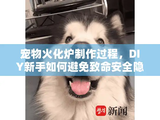 宠物火化炉制作过程，DIY新手如何避免致命安全隐患？